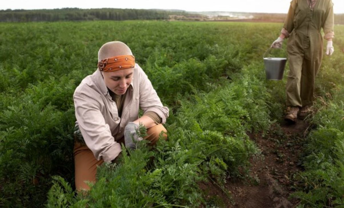 Agriculture Worker