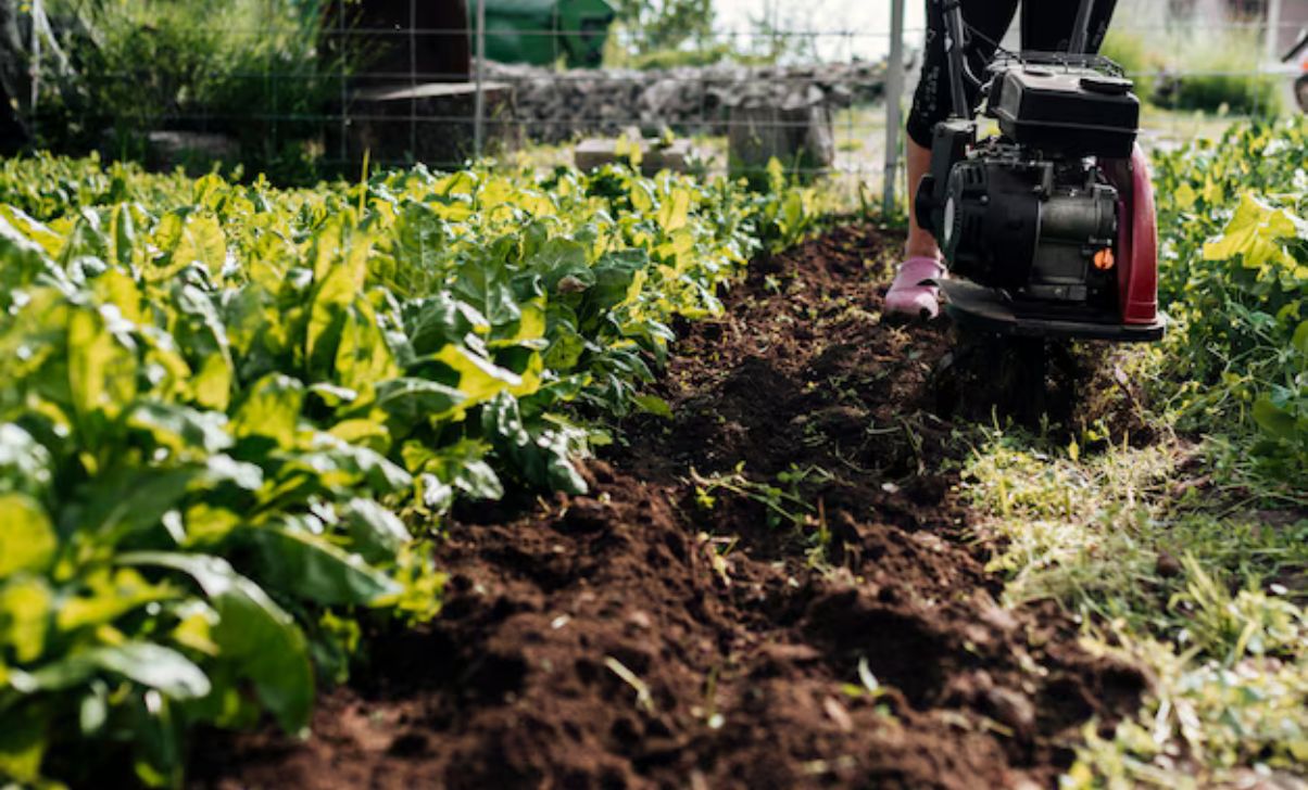 Agriculture Worker