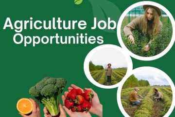 Agriculture Job Opportunities