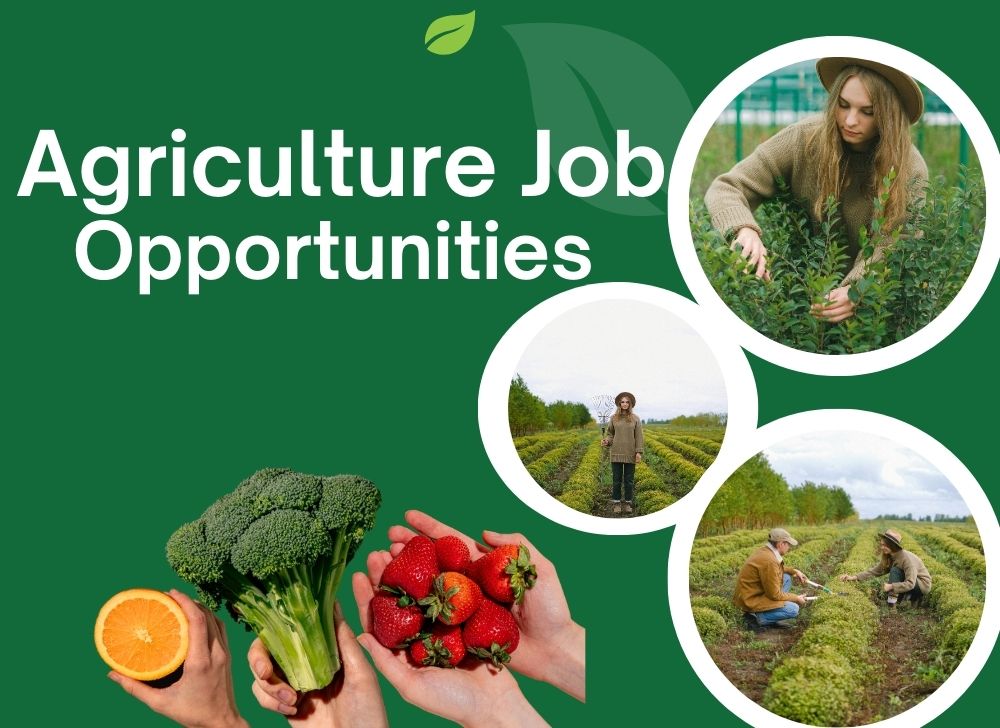 Agriculture Job Opportunities