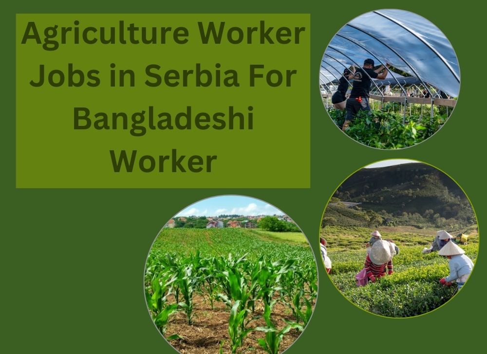 Agriculture Worker Jobs in Serbia For Bangladeshi Worker