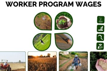 Seasonal Agricultural Worker Program Wages