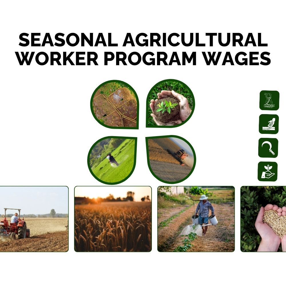 Seasonal Agricultural Worker Program Wages