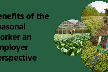 Benefits of the Seasonal Worker an employer perspective