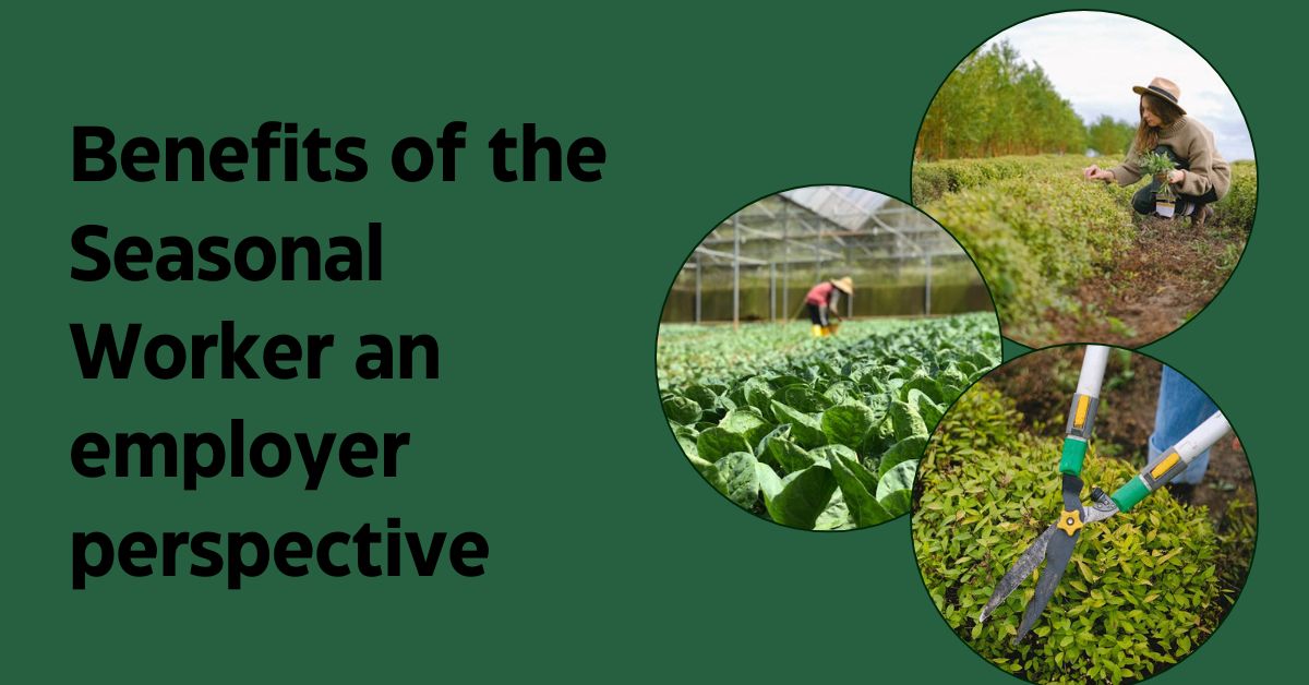 Benefits of the Seasonal Worker an employer perspective