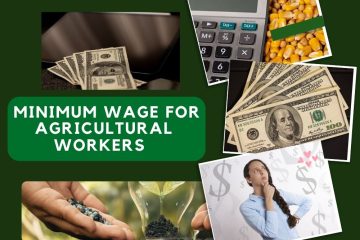 Wage For Agricultural Workers