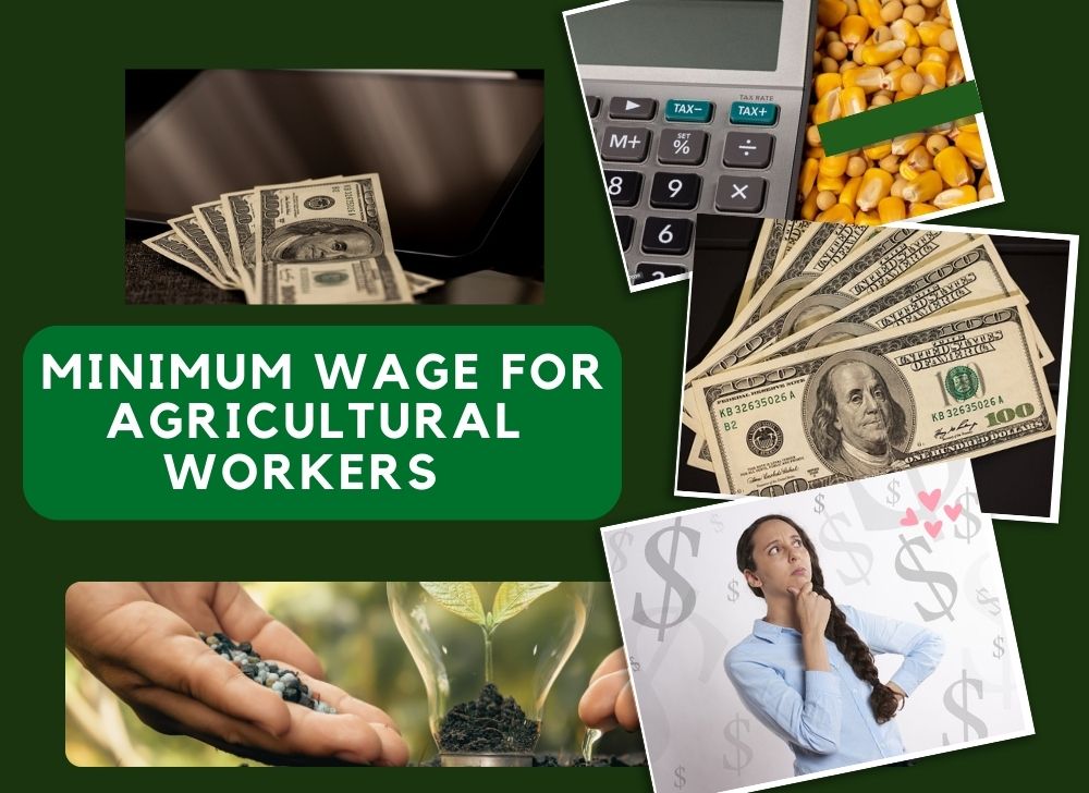 Wage For Agricultural Workers