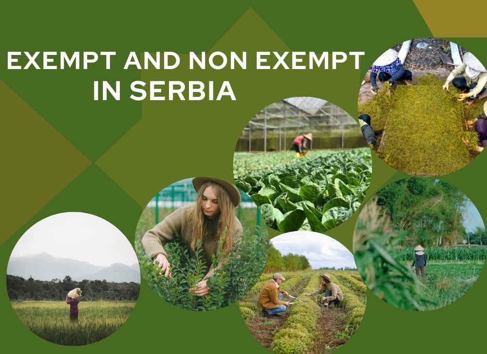 The Difference Agriculture Worker Between Exempt And Non Exempt In Serbia