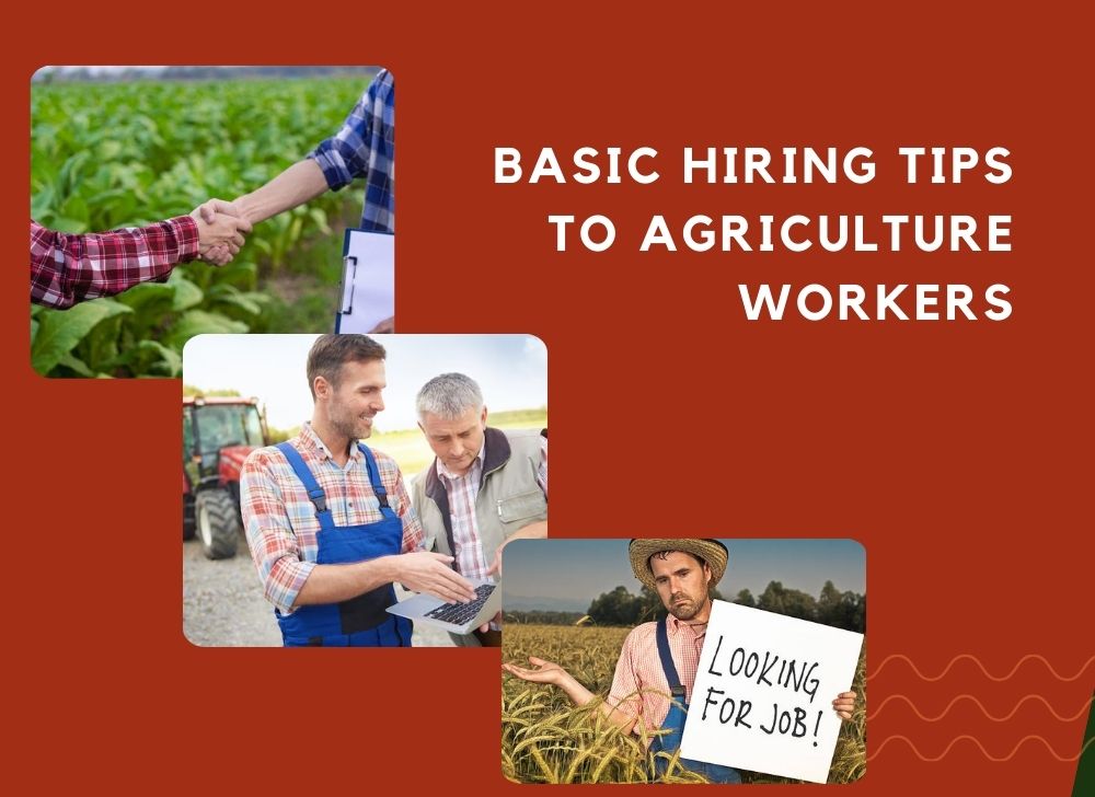 Hiring Tips To Agriculture Workers